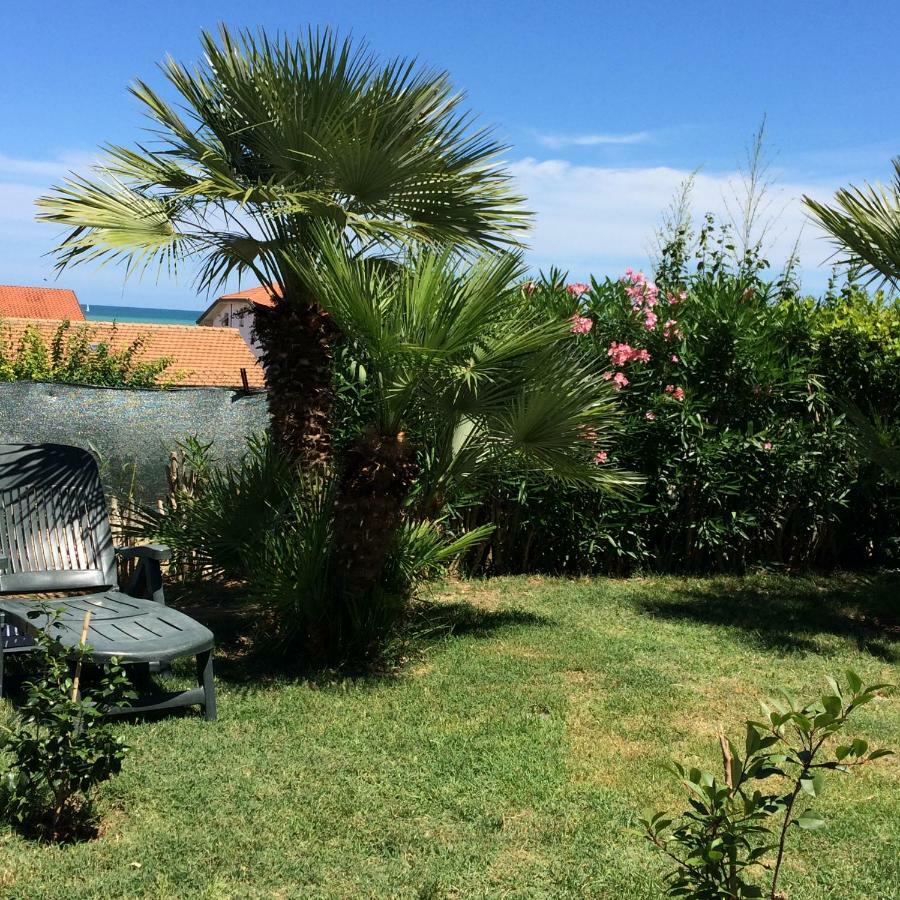 Casa "La Conchiglia" Bed & Breakfast Civitanova Marche Eksteriør bilde