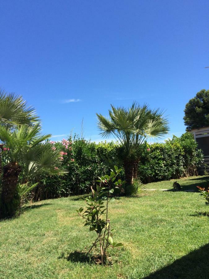 Casa "La Conchiglia" Bed & Breakfast Civitanova Marche Eksteriør bilde