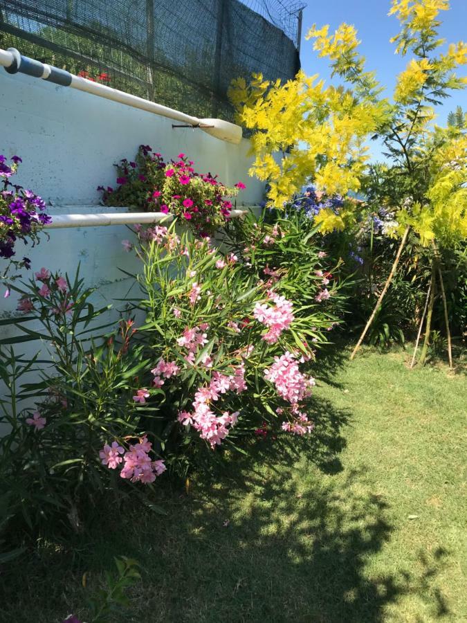 Casa "La Conchiglia" Bed & Breakfast Civitanova Marche Eksteriør bilde